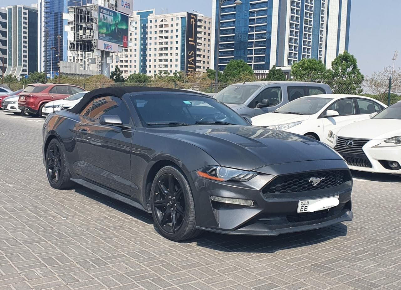 2019 Ford Mustang EcoBoost