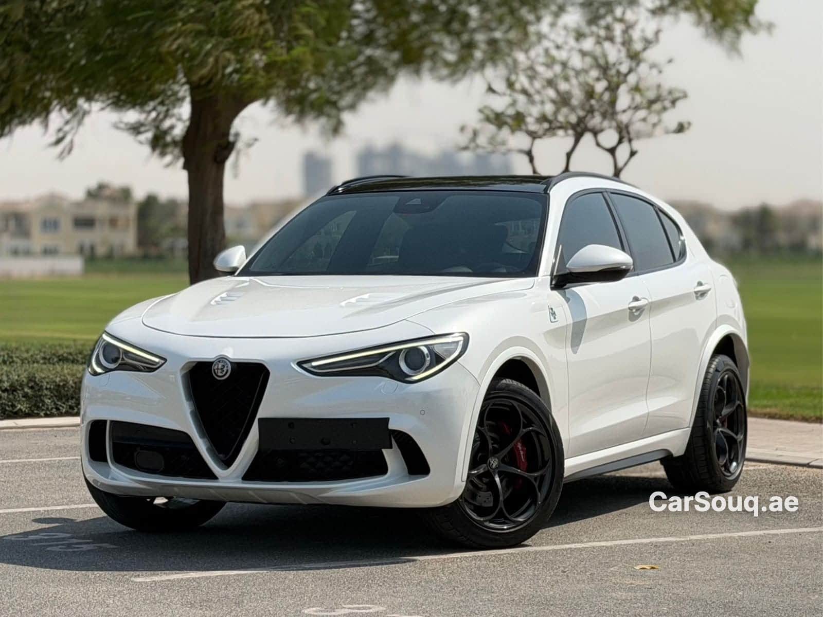 2020 Alfa Romeo Stelvio Quadrifoglio
