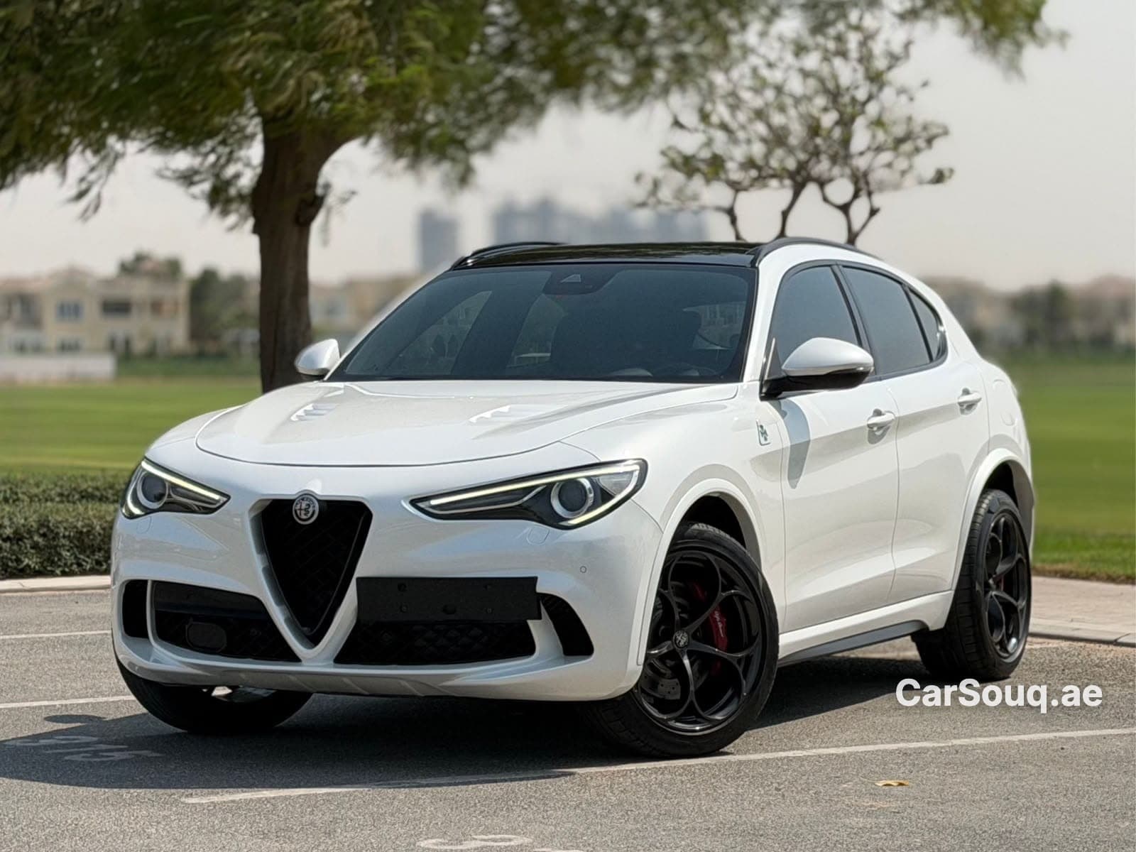 2020 Alfa Romeo Stelvio Quadrifoglio