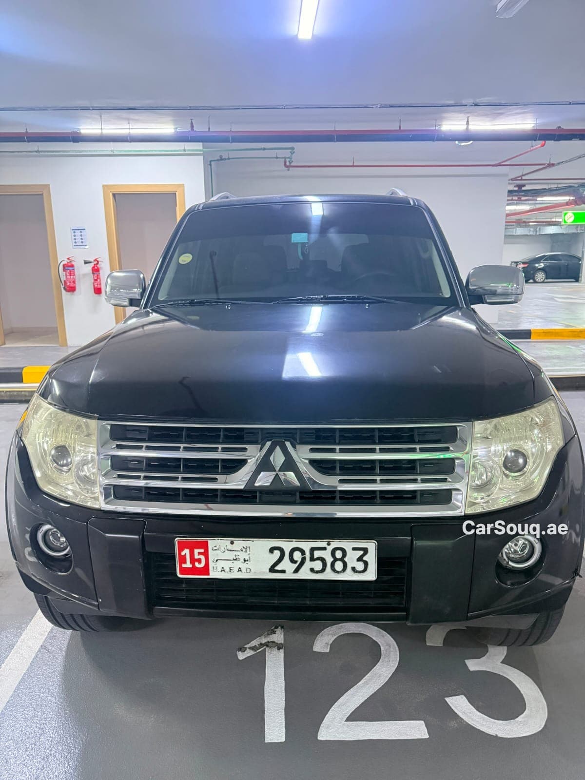 2010 Mitsubishi Pajero