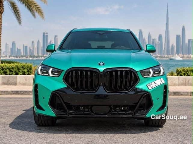 2025 BMW X6